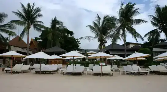 Samui Jasmine Resort - Sha Plus - 25