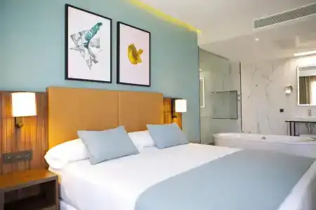 Riu Plaza España - 63
