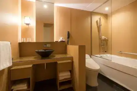 Ana Crowne Plaza Kyoto, An Ihg - 10