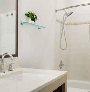 Parrot Key & Villas - 53