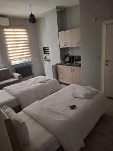 Edrin Otel - 5