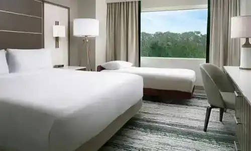 Signia by Hilton Orlando Bonnet Creek - 84