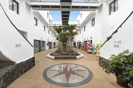 THB Flora - 1