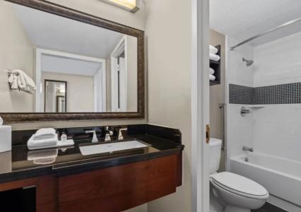 Crowne Plaza Atlanta Midtown, An Ihg - 43