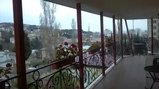 Манго - 67