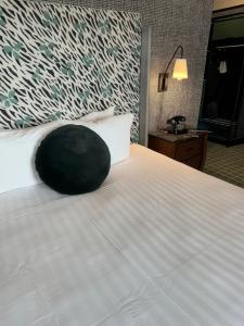 The Adler a Hollywood Hills - 50