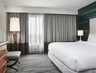 Embassy Suites Orlando - Airport - 40
