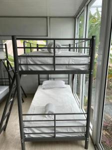 Roost Glamping - SHA Certified - 50