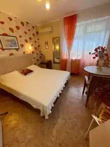 Кипарис на Красноармейском - 4
