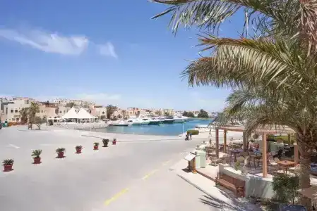 Ali Pasha - 24