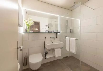 Sunstar & SPA Grindelwald - 69