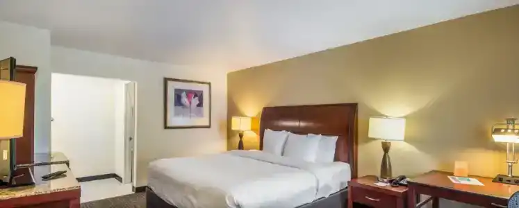 Clarion Inn & Suites Central Beach - 56