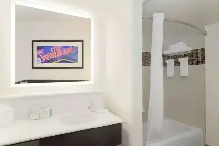 Hampton Inn & Suites Austin-Downtown/Convention Center - 101