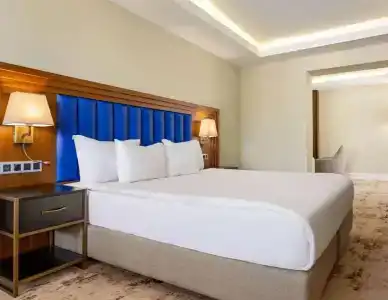 Ramada Plaza By Wyndham Istanbul Sultanahmet - 75