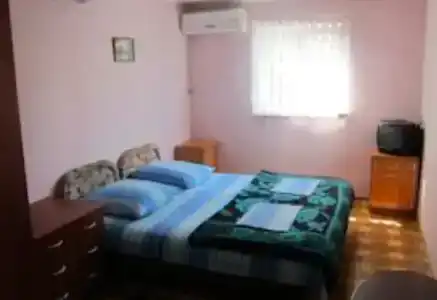 У совы - 5