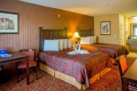 Castle Inn and Suites Anaheim - 16