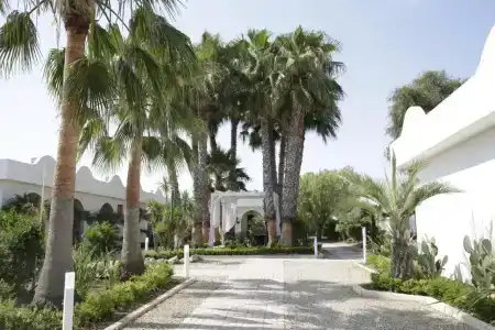 Garden Ripa - 32