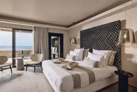 Amazon Mykonos Resort & Spa - 54