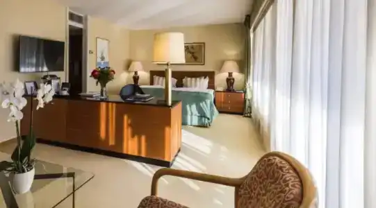 Royal Plaza Montreux - 88