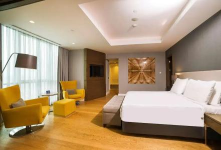 Radisson Blu, Kayseri - 85
