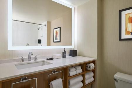 Sheraton Grand Chicago - 61