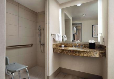 Embassy Suites Tucson - Paloma Village - 43