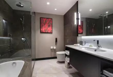 Hilton Istanbul Maslak - 56
