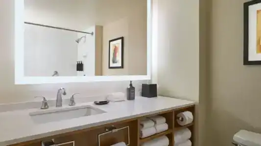 Sheraton Grand Chicago - 108