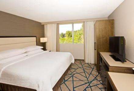 Embassy Suites by Hilton Seattle - 34