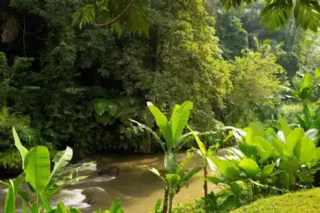 Mandapa, A Ritz-Carlton Reserve - 47