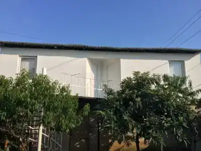 Арчи - 2
