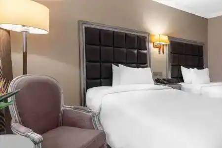 Hilton Alexandria Corniche - 89