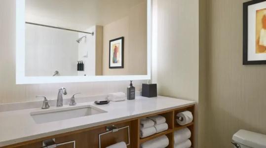 Sheraton Grand Chicago - 112