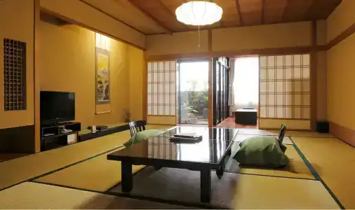Hatori - 49