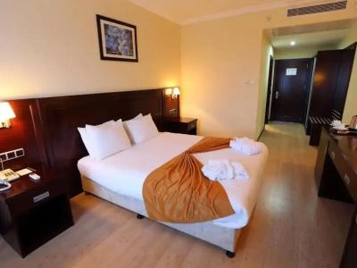 Eser Diamond Spa & Convention Center İstanbul - 21