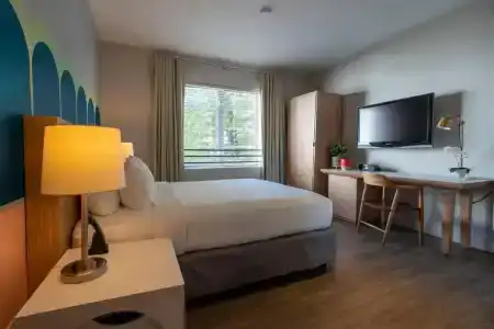 Viajero Miami - 65