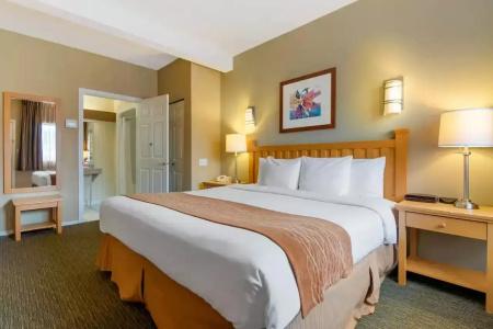 Econo Inn & Suites - - 29