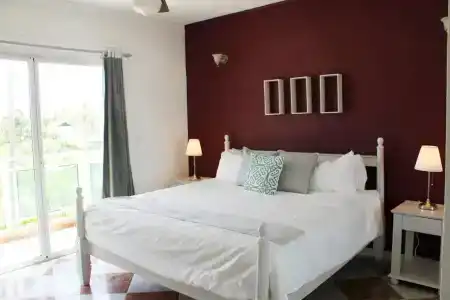 Green Coast - 5