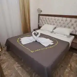 Магнолия - 36