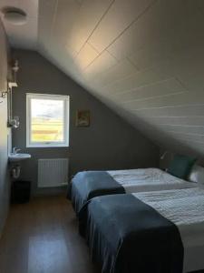 Sauðanes - 9