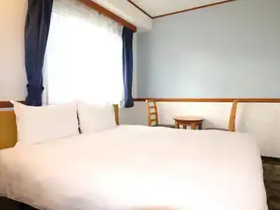 Toyoko Inn Tokyo Monzen-nakacho Eitaibashi - 36