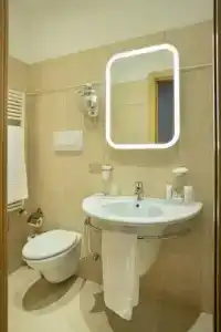 Best Western Plus Executive and Suites - 22