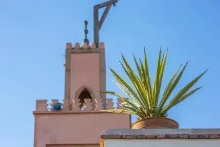 Riad Azoulay - 26