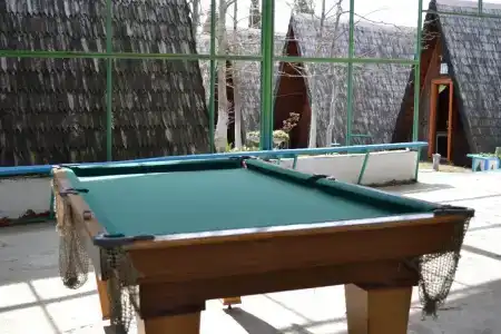 Агрос - 13
