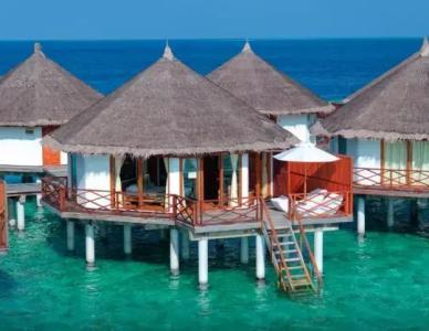 Safari Island - 49