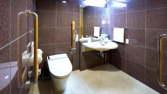Toyoko Inn Fukui Ekimae - 85