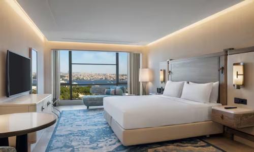 Hilton Istanbul Bosphorus - 108