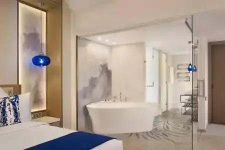 Paragraph Resort & Spa Shekvetili, Autograph Collection - 64