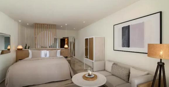 Paradisus Palma Real Golf & Spa Resort All Inclusive - 39