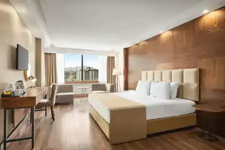 Serra Samsun Otel - 19